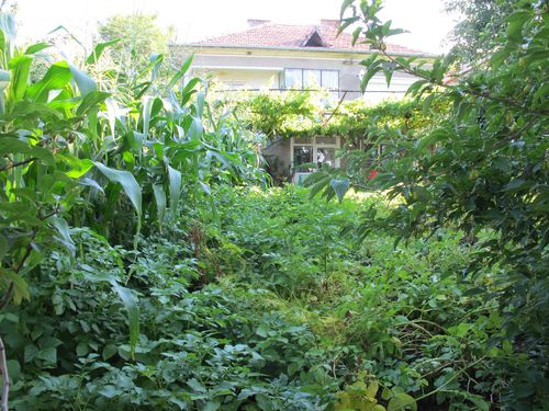 BulgarianGarden