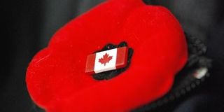 Poppy-canada-remembrance-day