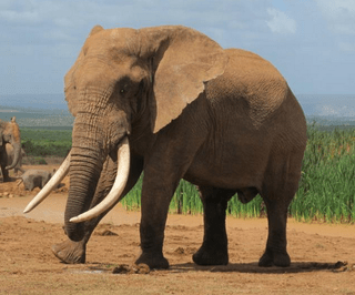 Screen shot 2013-03-02 at 1.18.46 PM