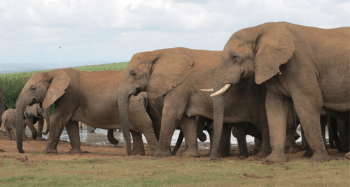 Screen shot 2013-03-02 at 1.20.06 PM