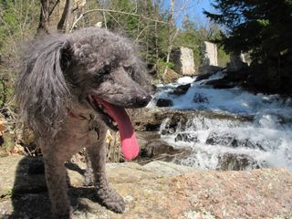 970019_10151365911496946_1218914935_n